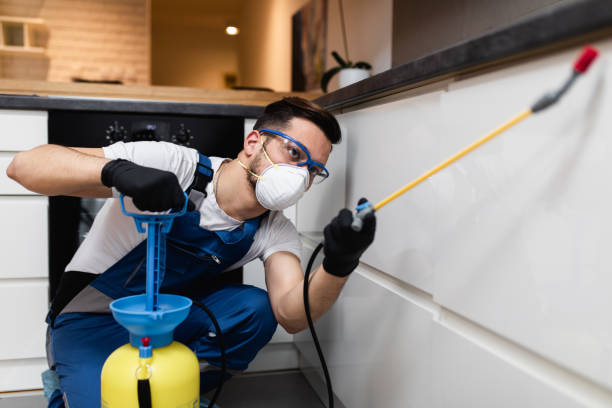 Best Ant Control Services  in Hartley, CA