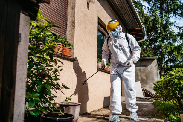 Best Affordable Pest Control Services  in Hartley, CA