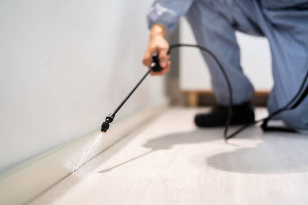 Best Mosquito Control Services  in Hartley, CA