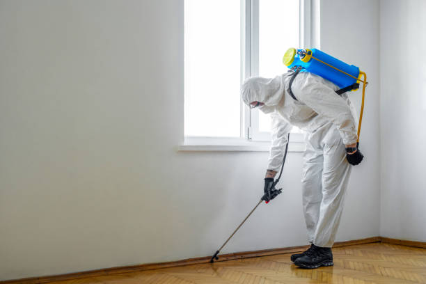 Best Emergency Pest Control  in Hartley, CA