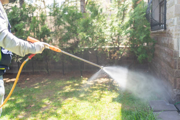 Trusted Hartley, CA Pest Control Experts