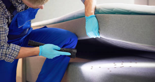 Best Bed Bug Extermination  in Hartley, CA