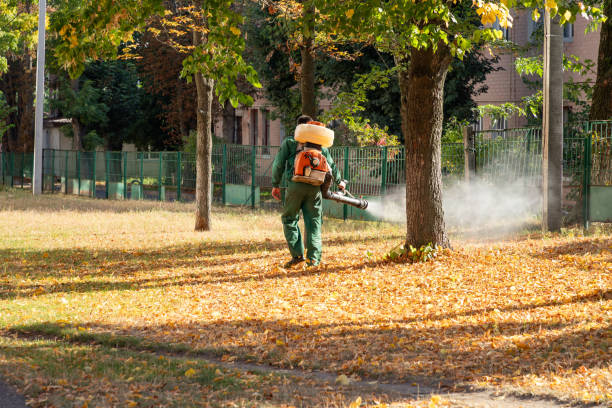 Best Exterminator Services  in Hartley, CA