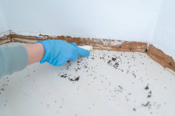 Best Best Pest Control Companies  in Hartley, CA