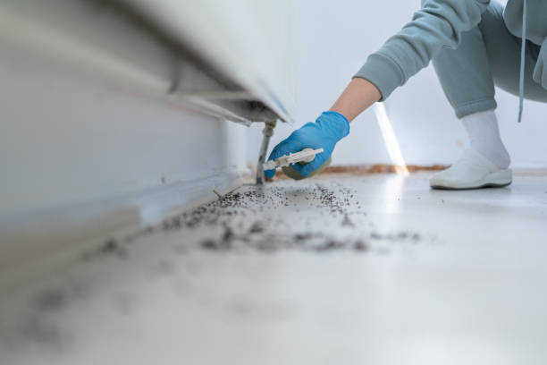 Best Affordable Pest Control Services  in Hartley, CA