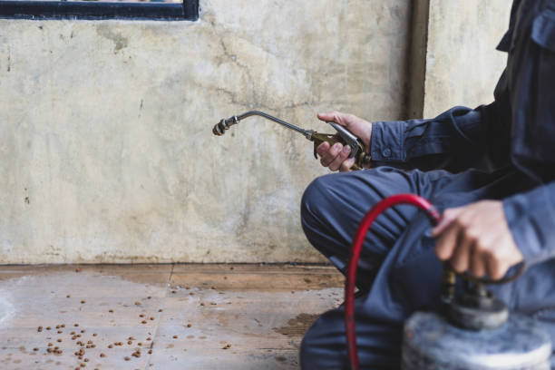Best Wasp Removal Services  in Hartley, CA